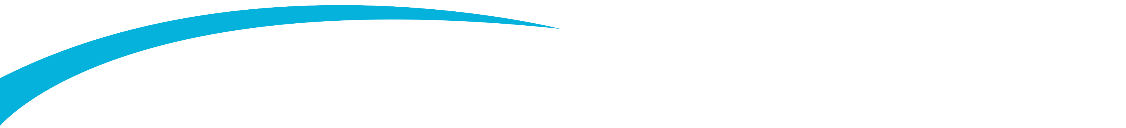 banner-shape
